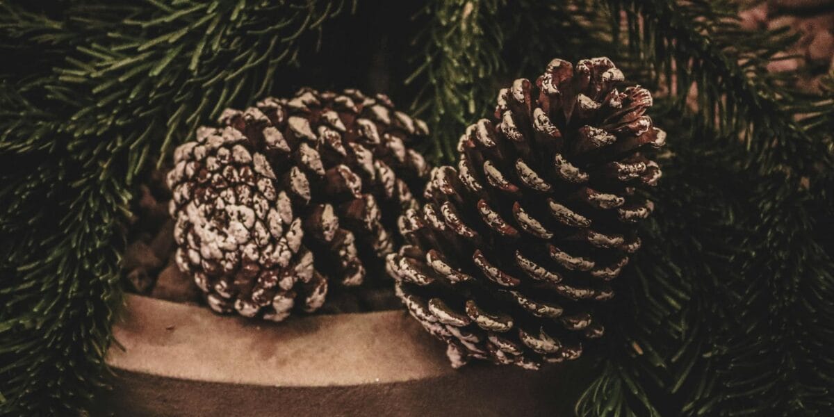 Pinecone MCP Server: Setup Guide, Use Cases & Limitations
