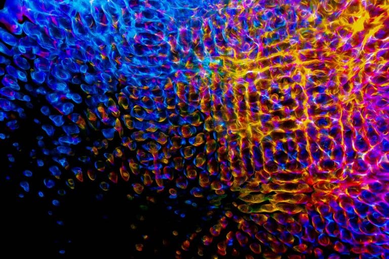 A mesmerizing abstract pattern with vibrant colors and digital texture, perfect for creative backgrounds. — meta muse sp