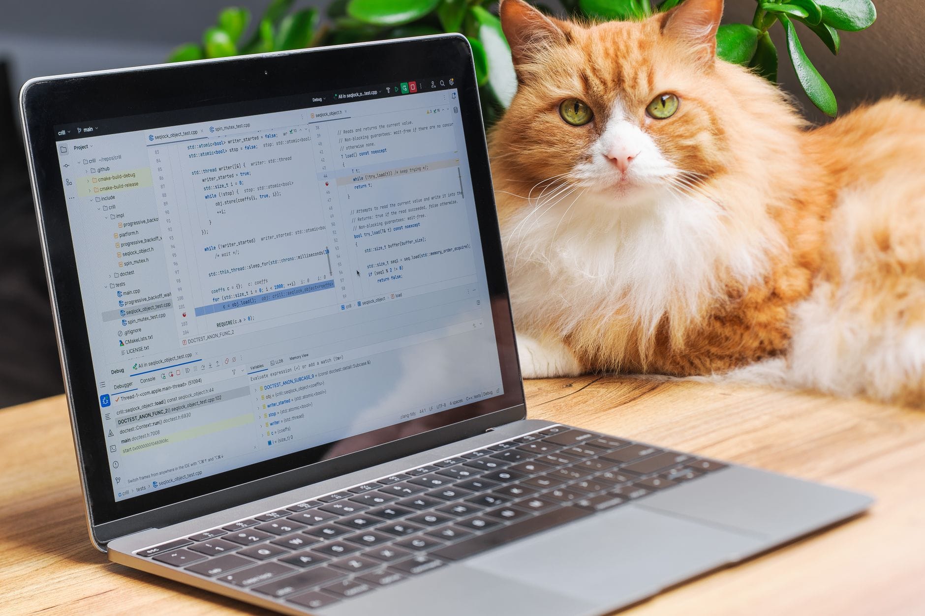 A fluffy orange cat rests beside a laptop showing a code editor, creating a cozy work-from-home setting. — sentry mcp se